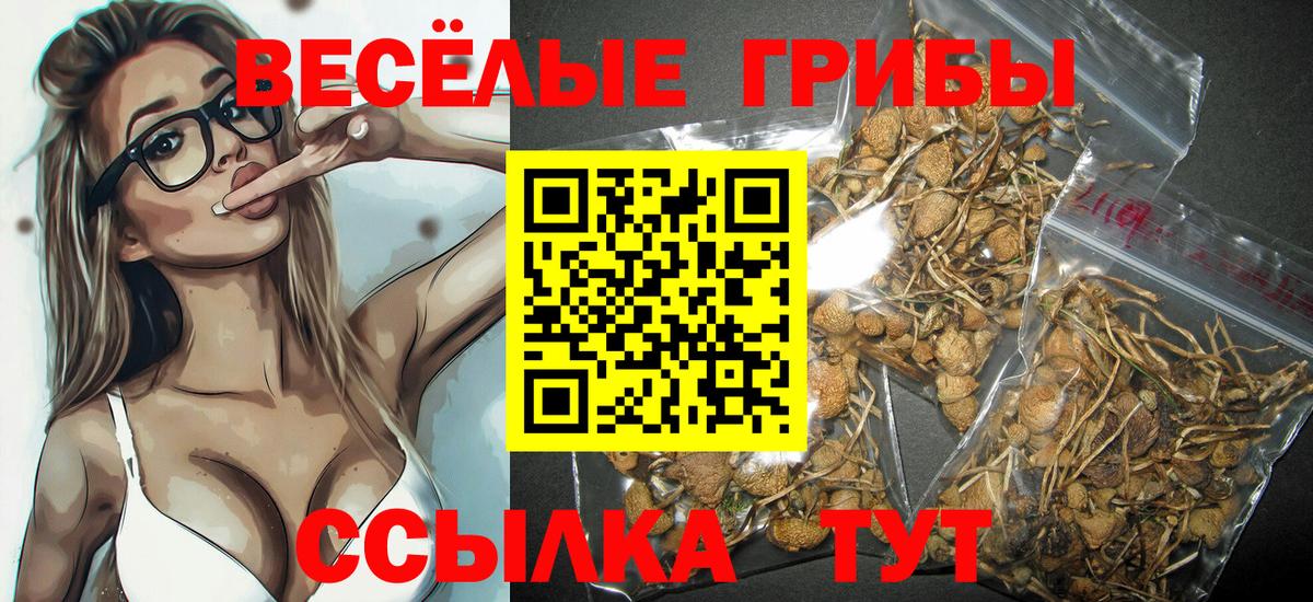 Псилоцибиновые грибы Cubensis Волгодонск